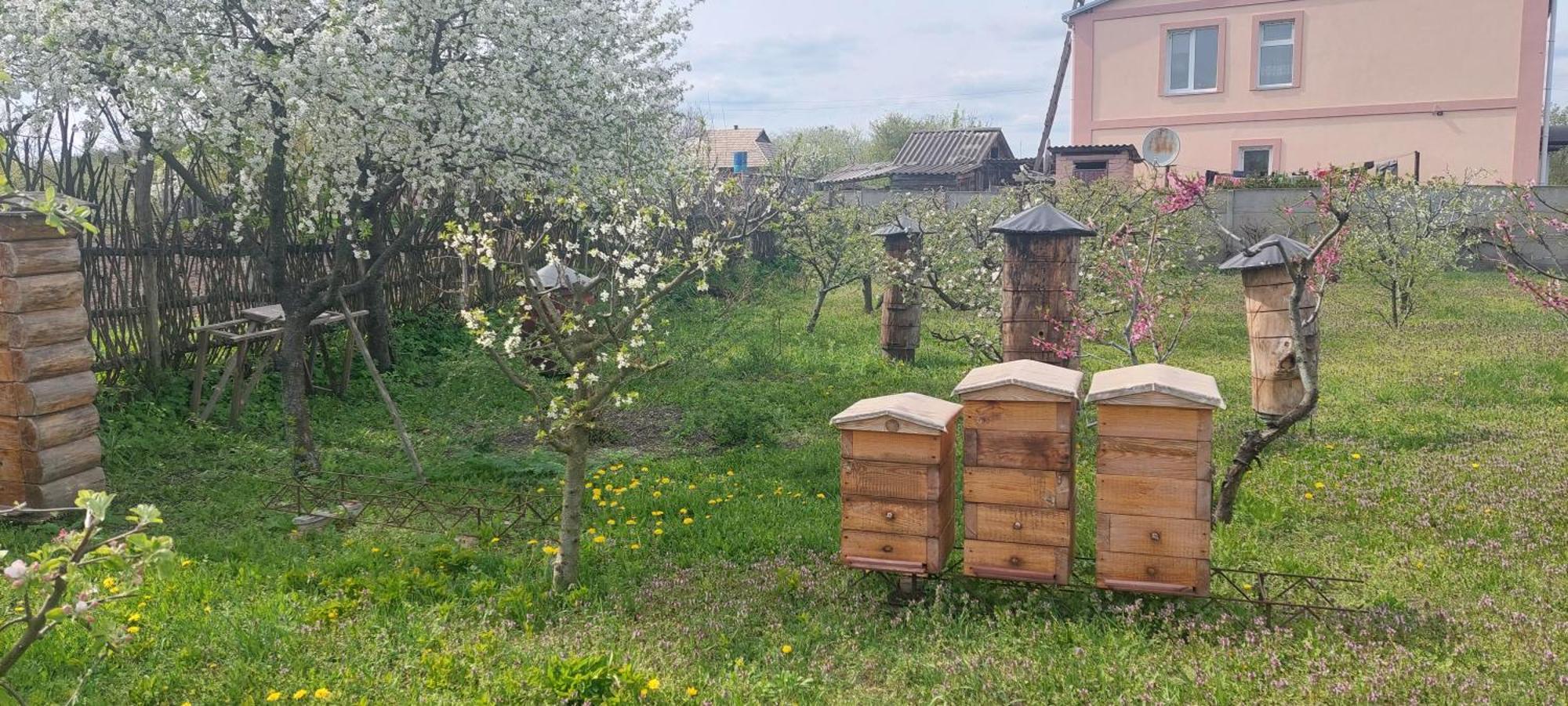 Садиба Зеленого Туризму «Золота Рибка» Medvedevka 外观 照片